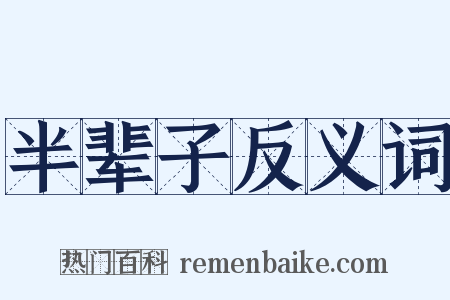 半辈子反义词是什么意思的图片